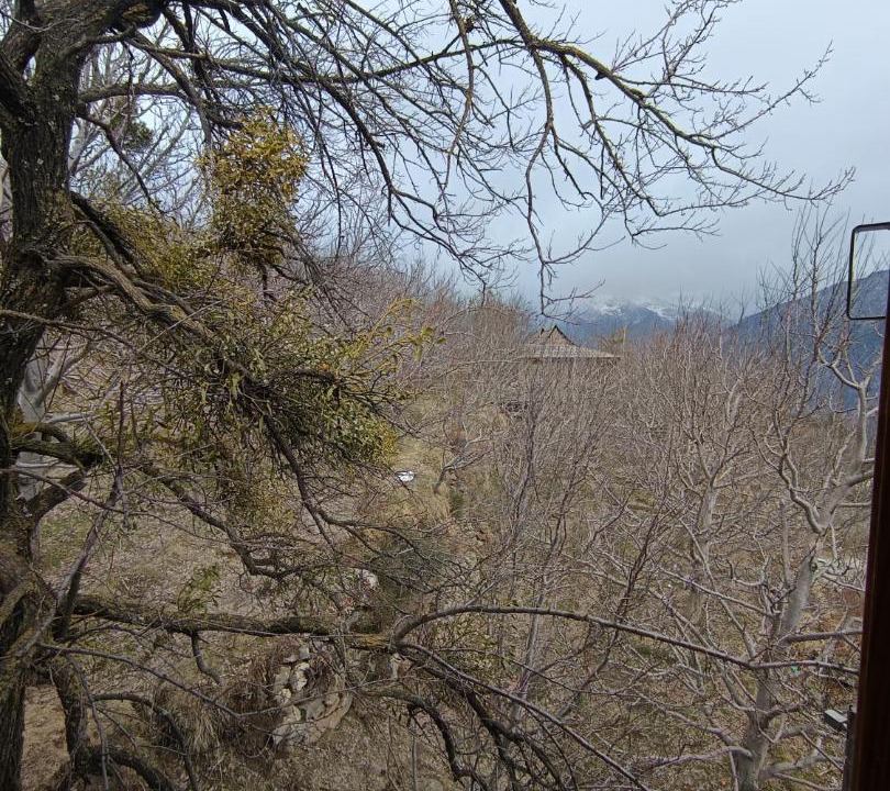 Photo of Others in Kalpa