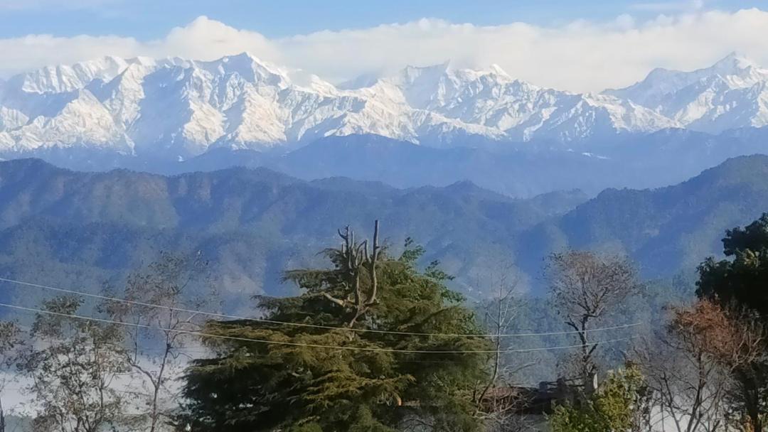 Photo of Others in Almora