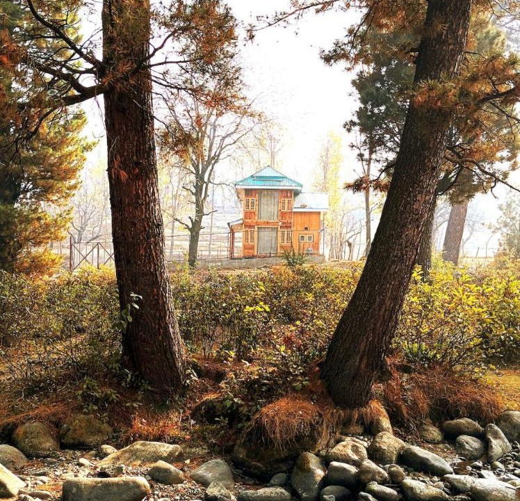 Photo of Others in Srinagar