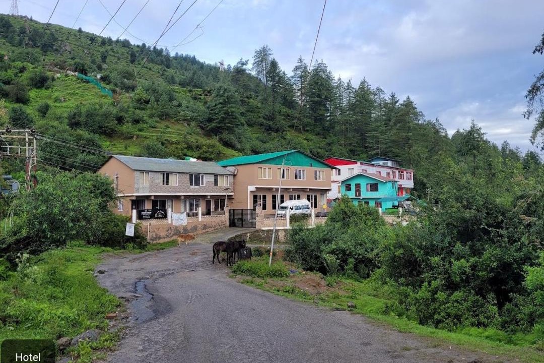 Photo of Others in Auli