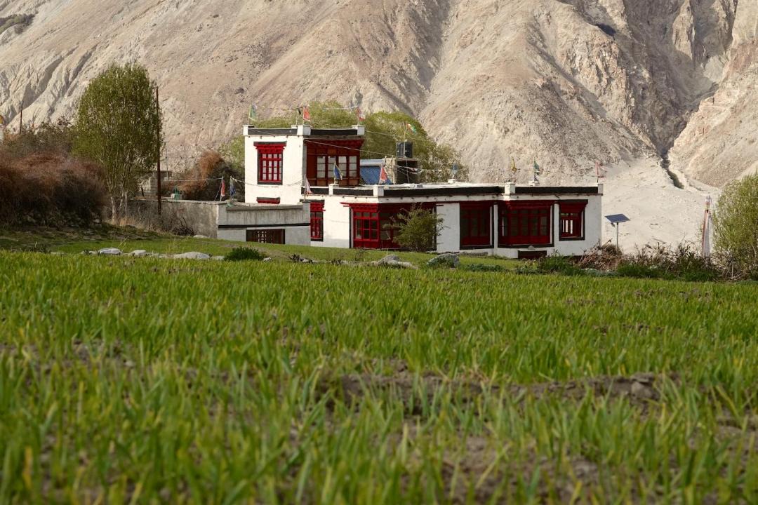 Photo of Others in Leh