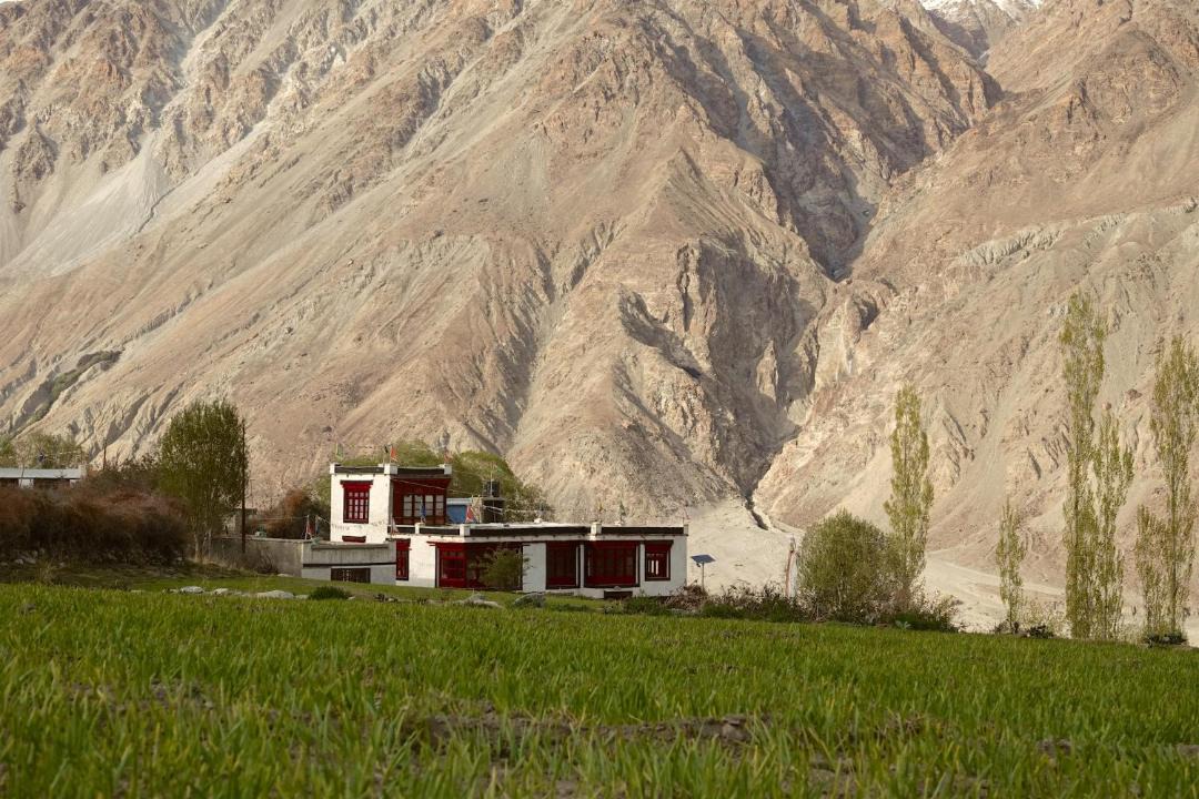 Photo of Others in Leh