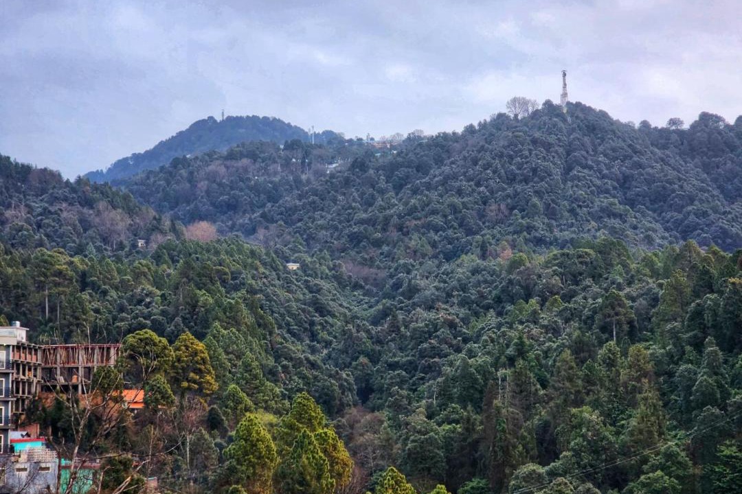 Photo of Others in Dalhousie