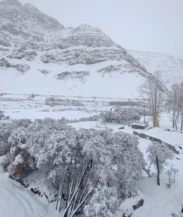 Photo of Others in Spiti