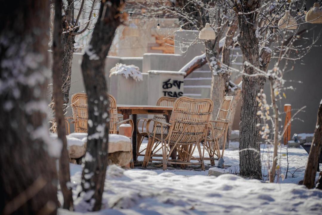 Photo of Others in Leh