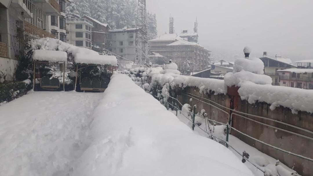 Photo of Others in New Manali