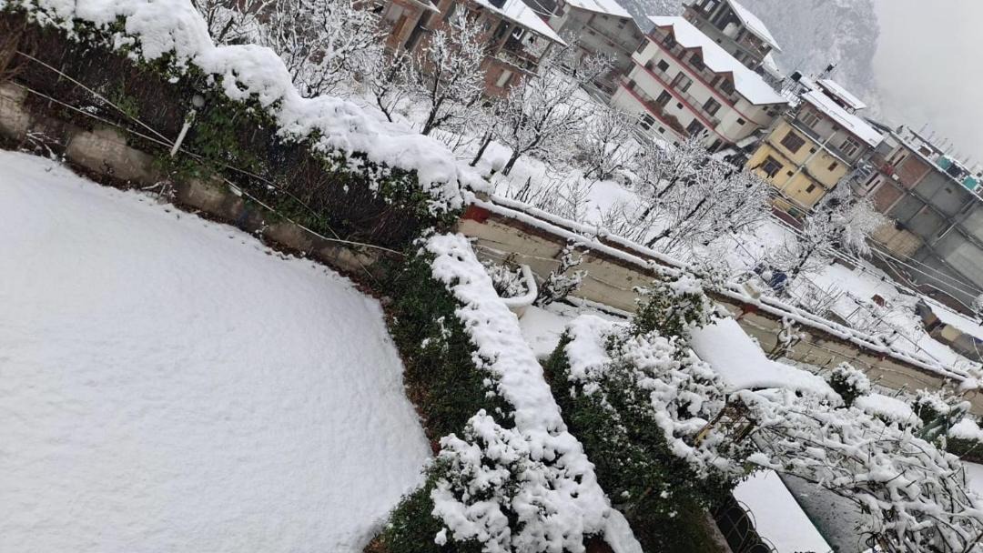 Photo of Others in New Manali