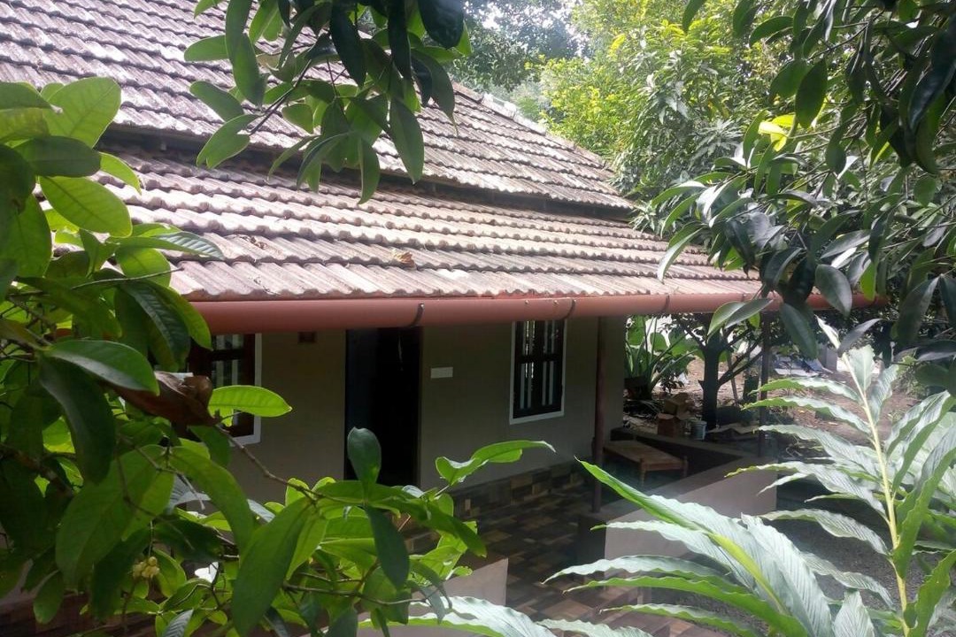 Photo of Others in Devikolam