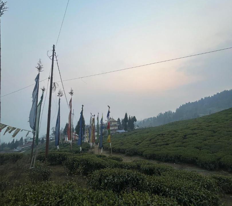 Photo of Others in Mirik