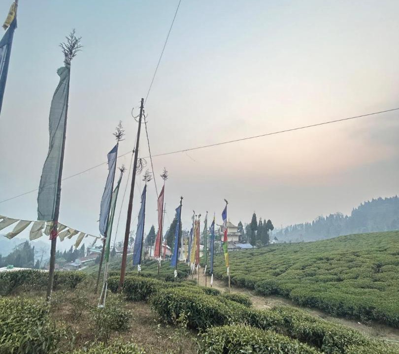 Photo of Others in Mirik