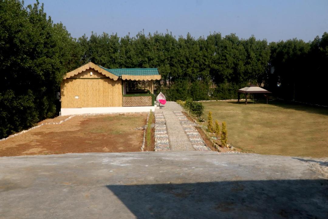 Photo of Others in Rupnagar