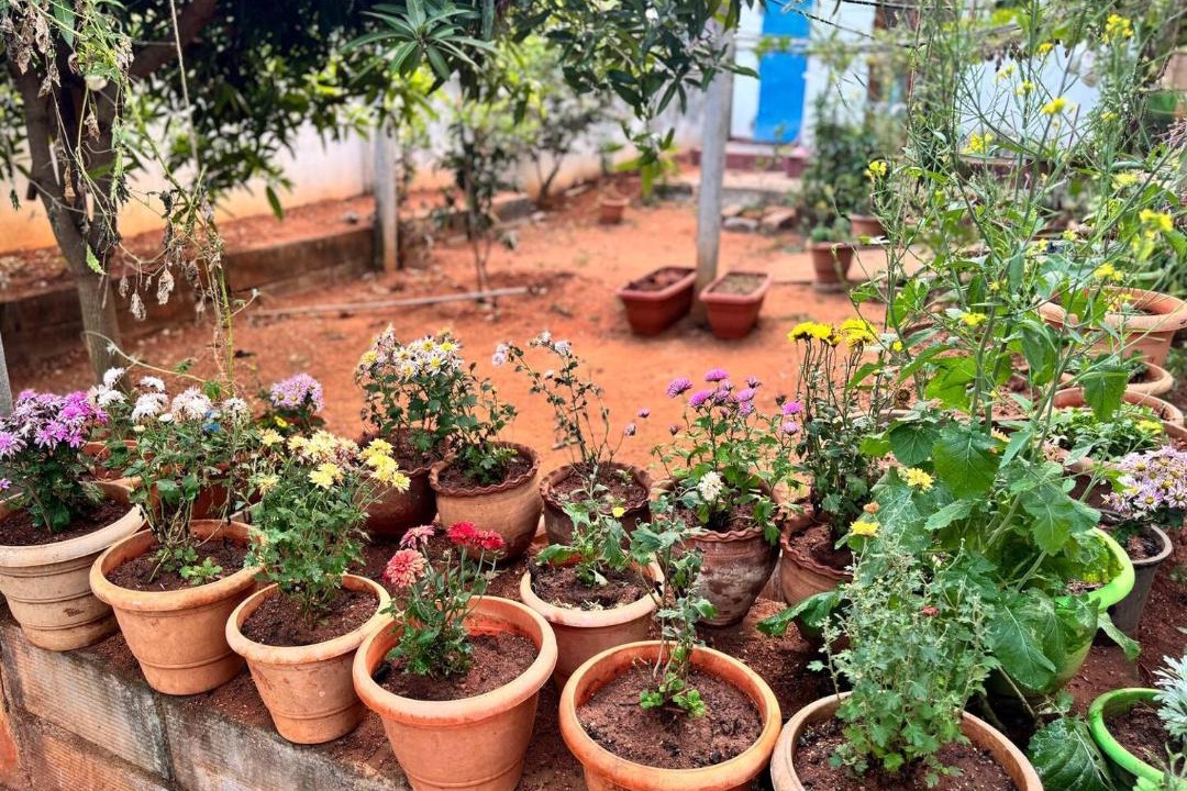 Photo of Others in Hanmakonda