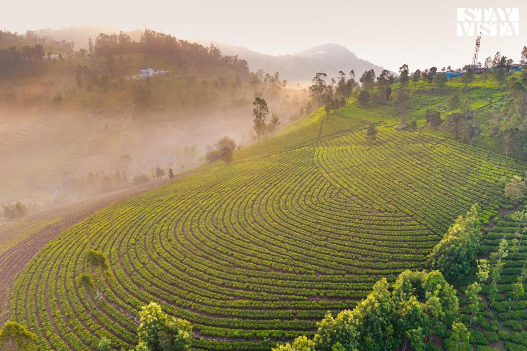 Photo of Others in Ooty