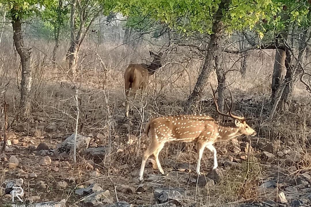 Photo of Others in Khajuraho