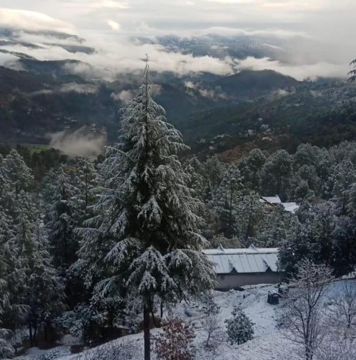 Photo of Others in Almora