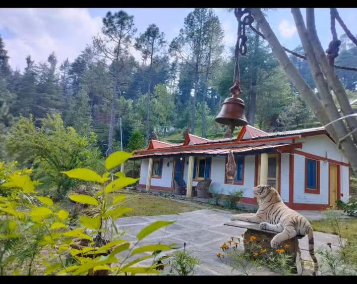 Photo of Others in Almora