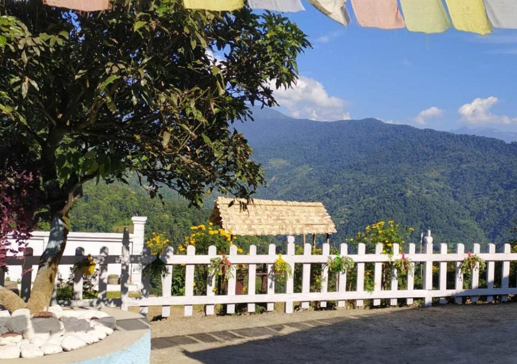 Photo of Others in Kumai