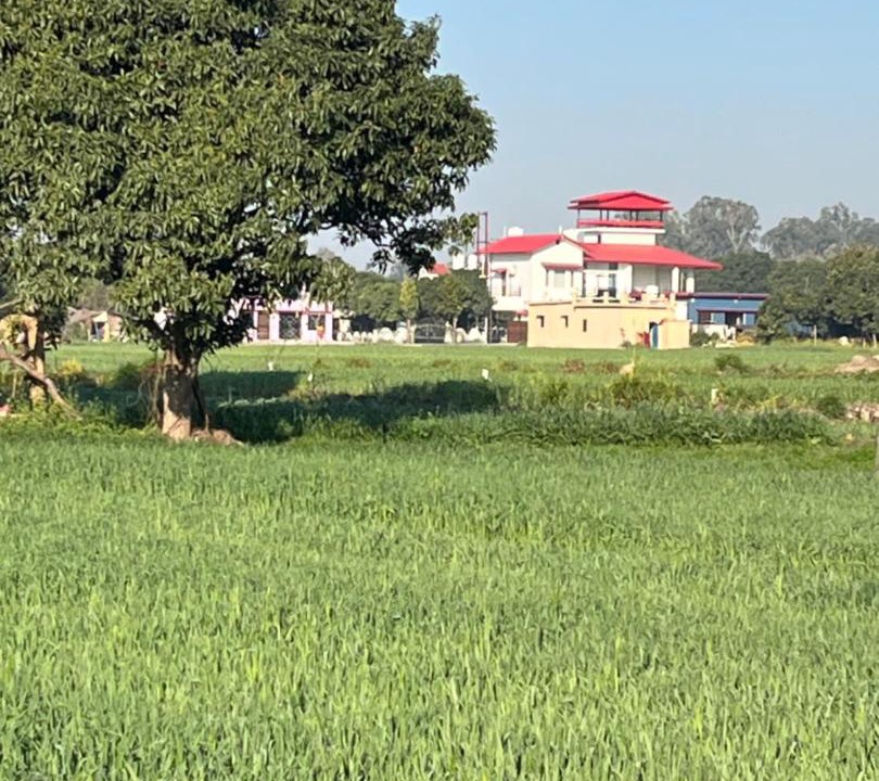 Photo of Others in Dhela