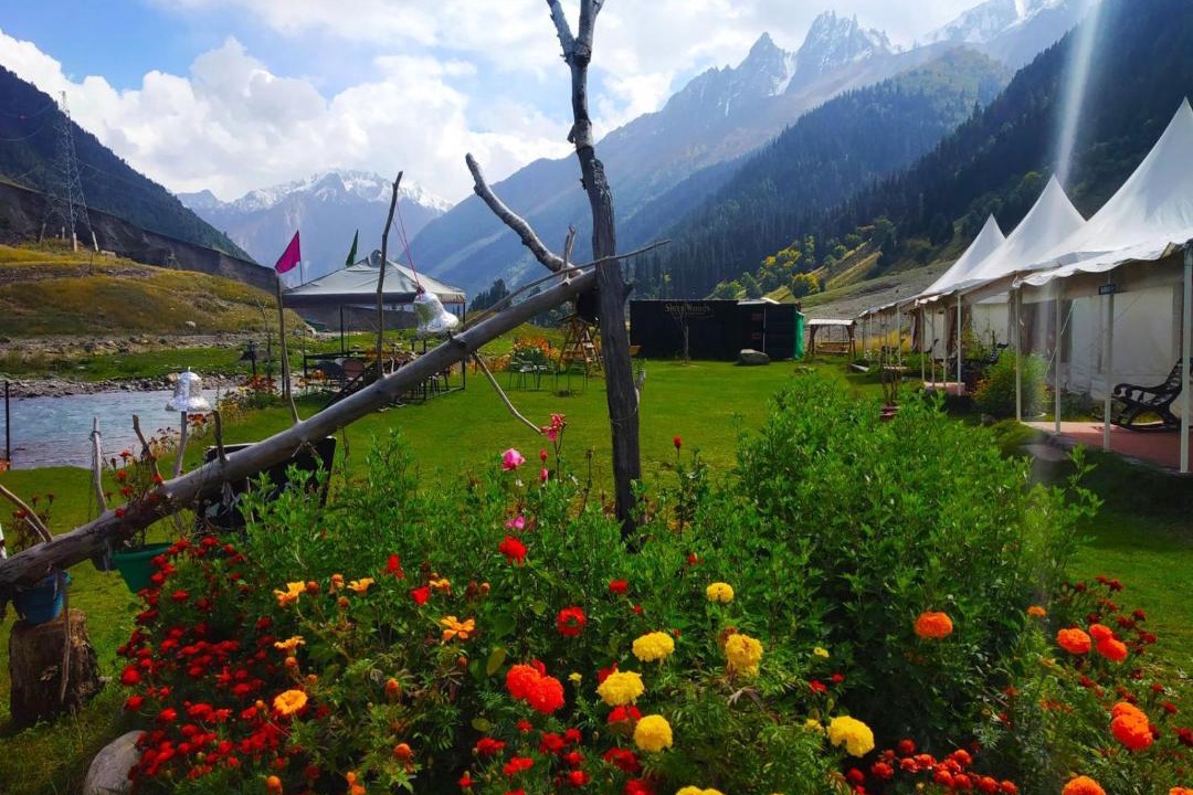 Photo of Others in Sonamarg