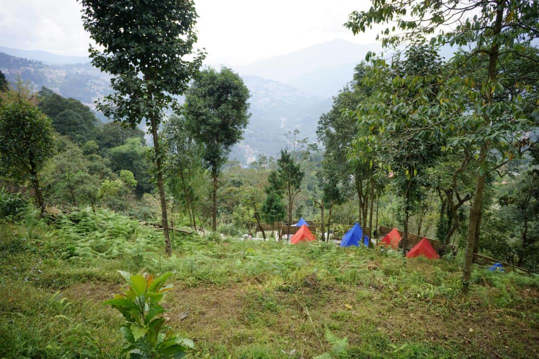Photo of Others in Gangtok