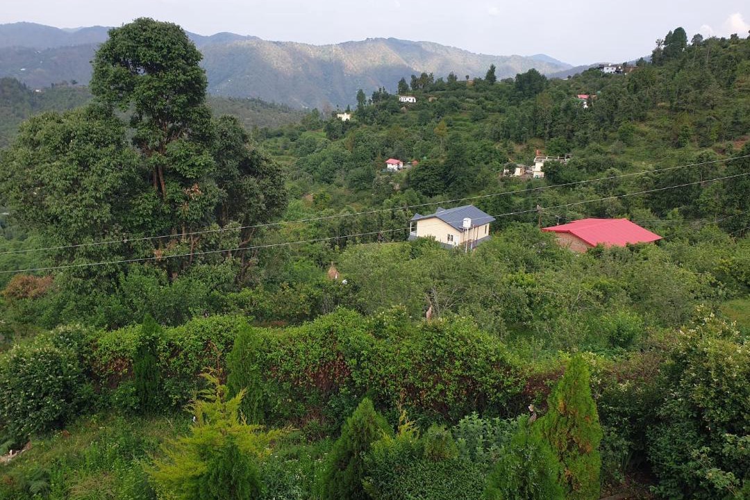 Photo of Others in Mukteshwar