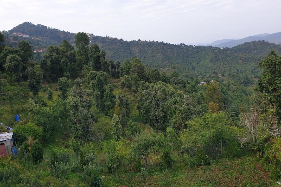 Photo of Others in Mukteshwar