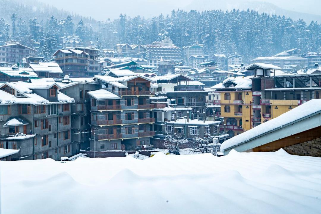 Photo of Others in New Manali