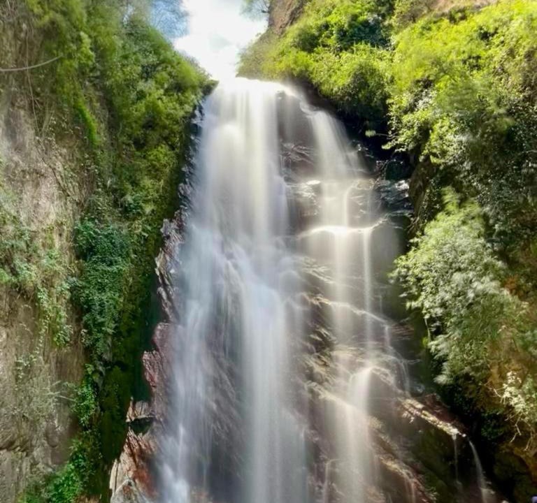 Photo of Others in Kullu