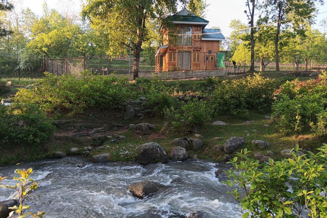 Photo of Others in Srinagar