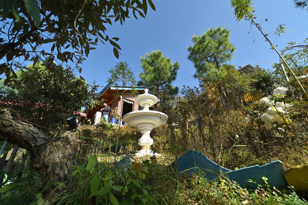 Photo of Others in Kaul