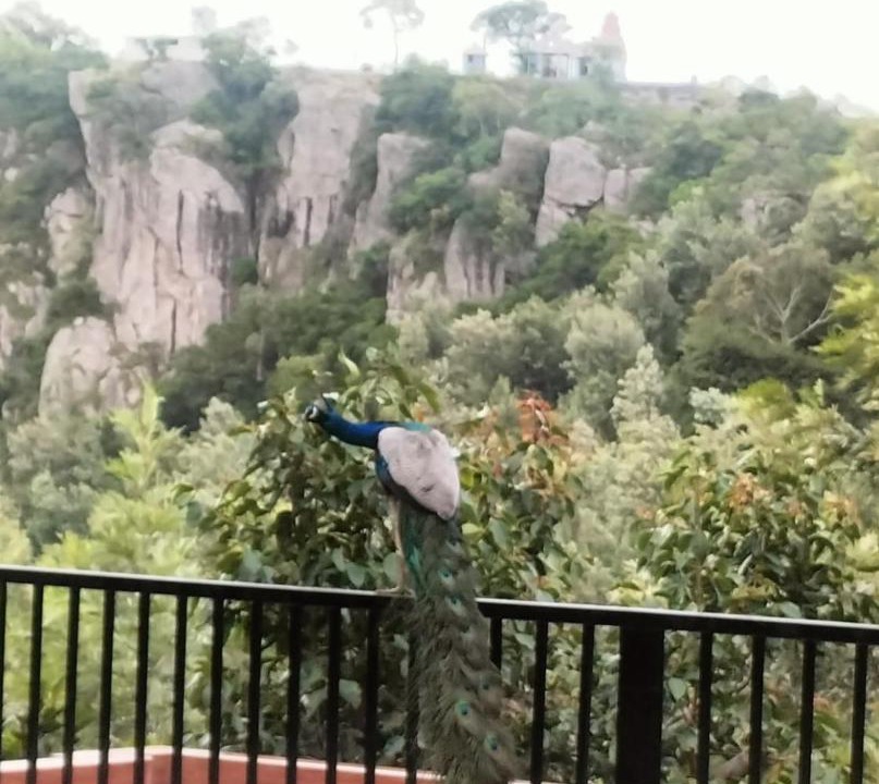 Photo of Others in Yercaud