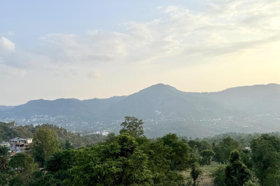 Photo of Others in Solan