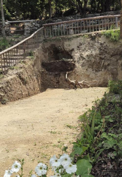 Photo of Others in Almora