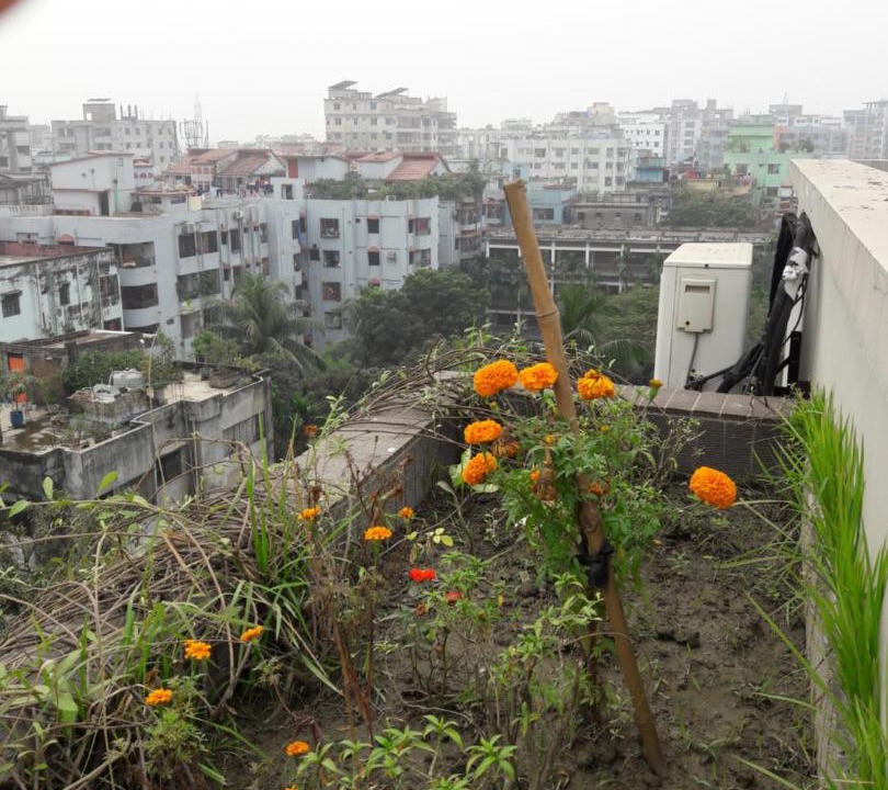 Photo of Others in Dhaka