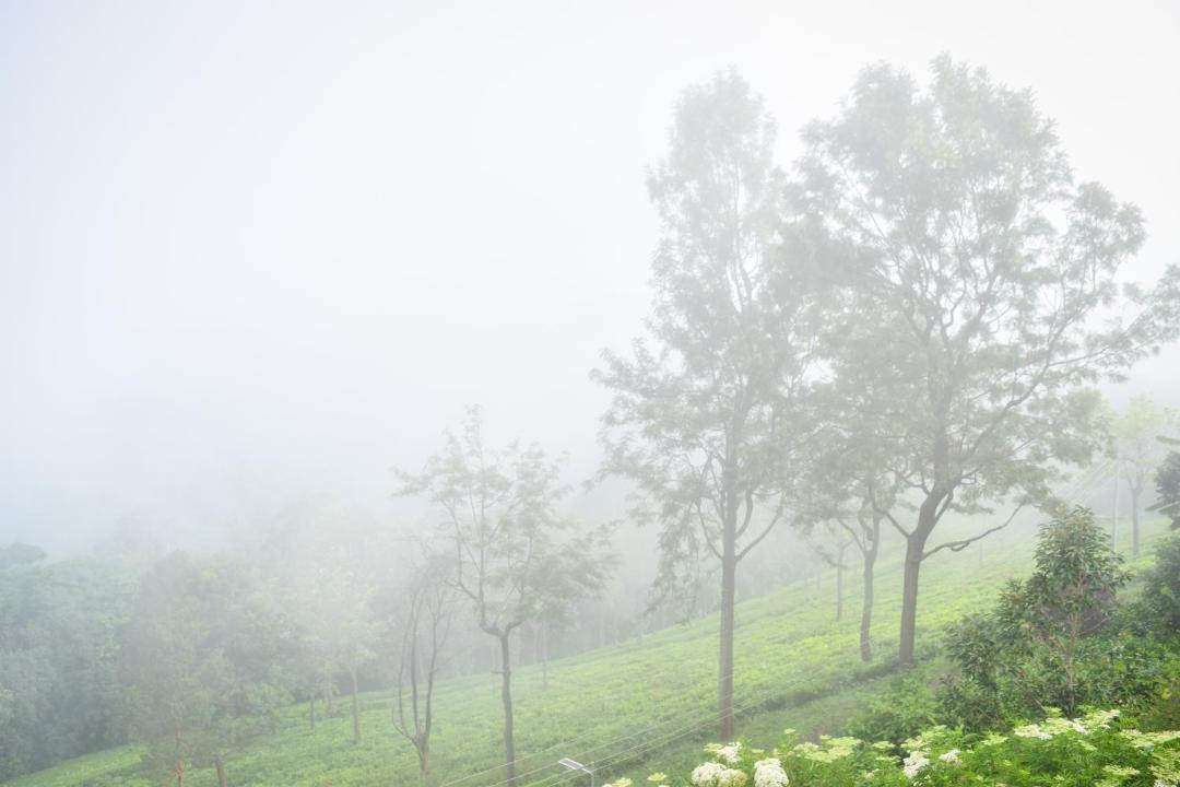 Photo of Others in Coonoor
