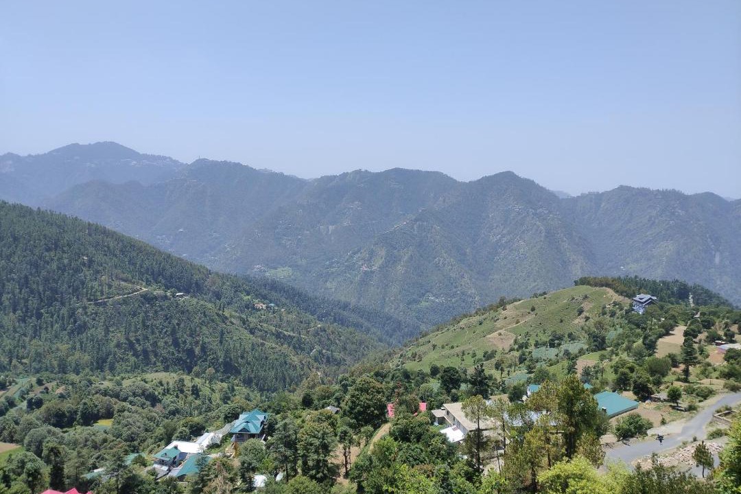 Photo of Others in Shimla