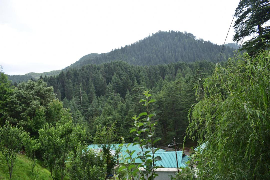 Photo of Others in Khajjiar