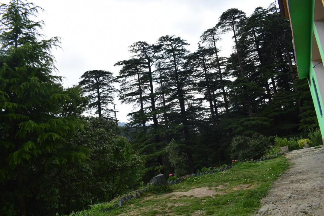 Photo of Others in Khajjiar
