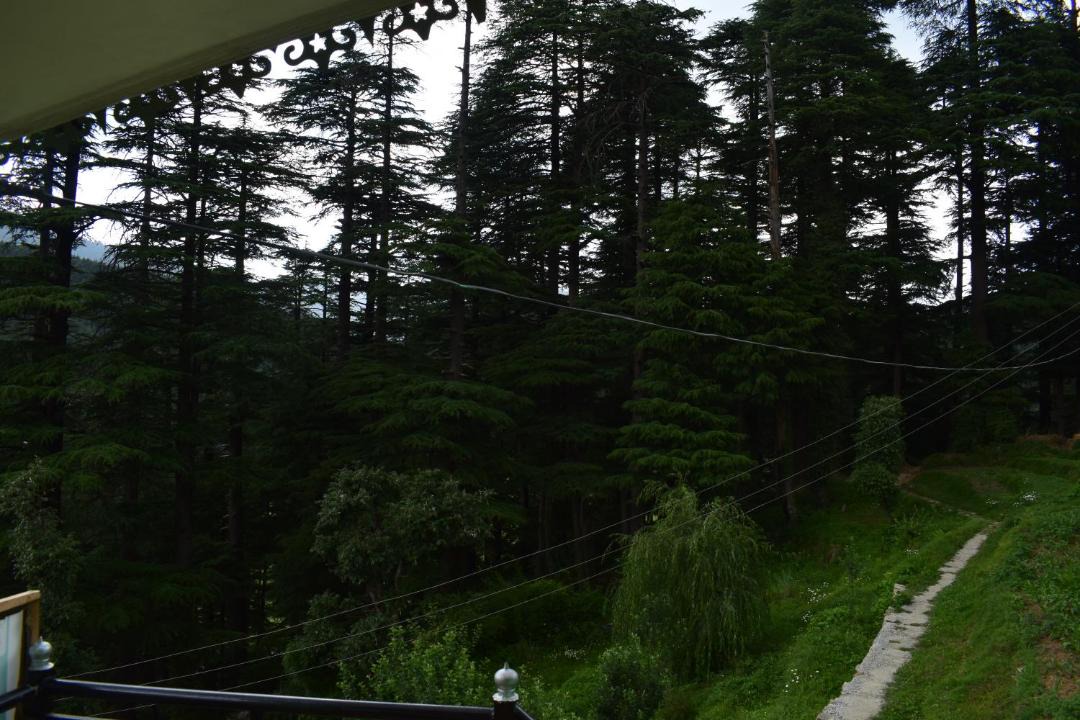 Photo of Others in Khajjiar