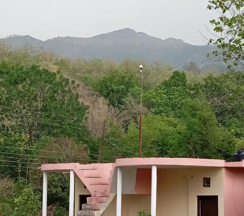 Photo of Others in Ramnagar