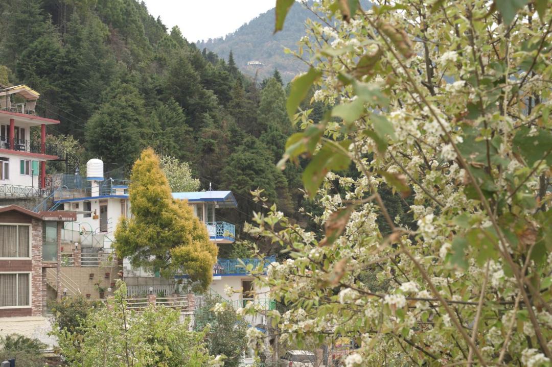 Photo of Others in Mussoorie