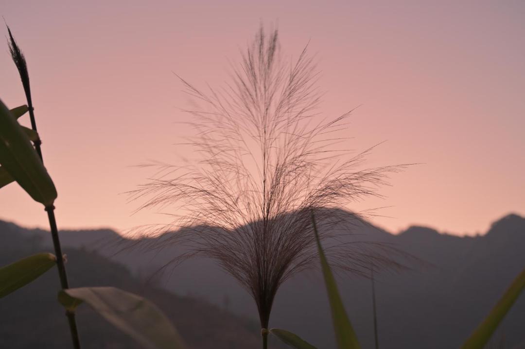 Photo of Others in Mussoorie