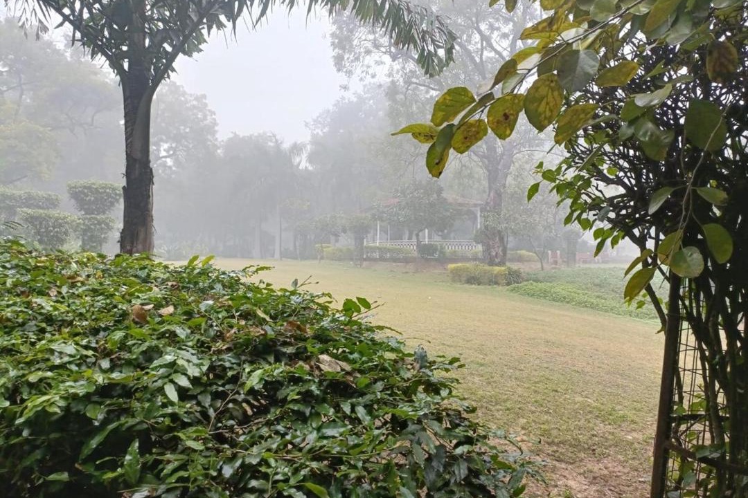 Photo of Others in Nehru Place