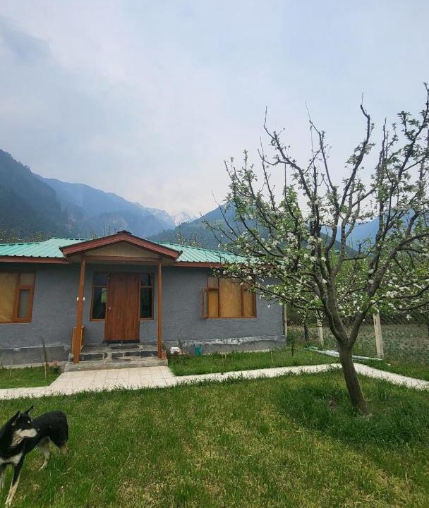 Photo of Others in Manali