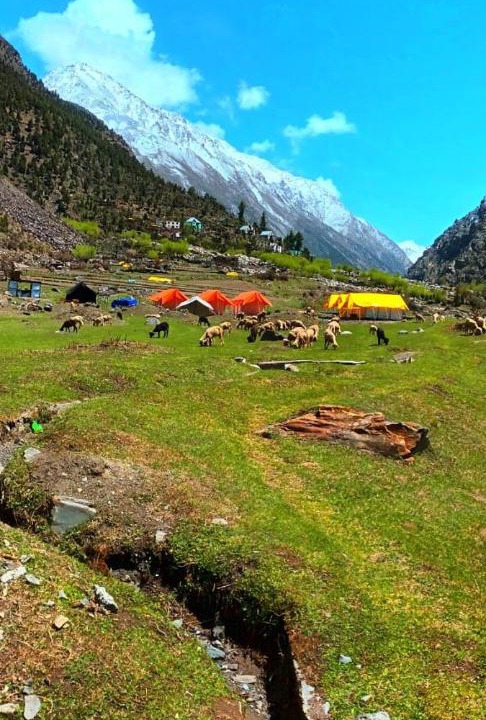 Photo of Others in Keylong