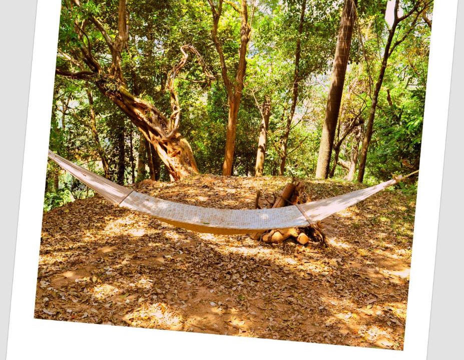 Photo of Others in Somvarpet
