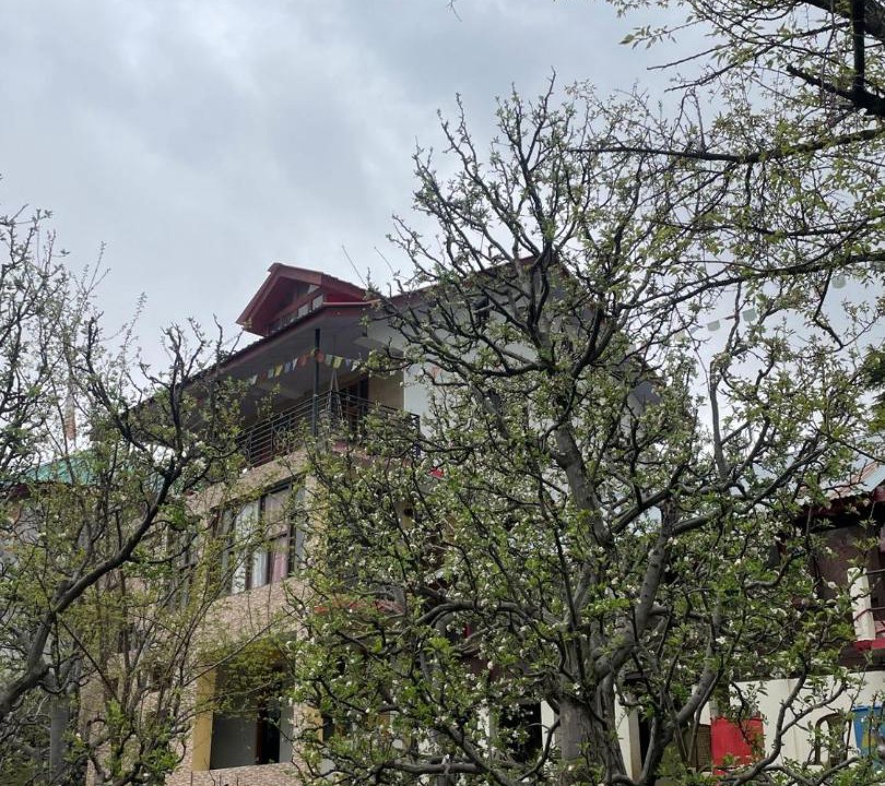 Photo of Others in Kalpa