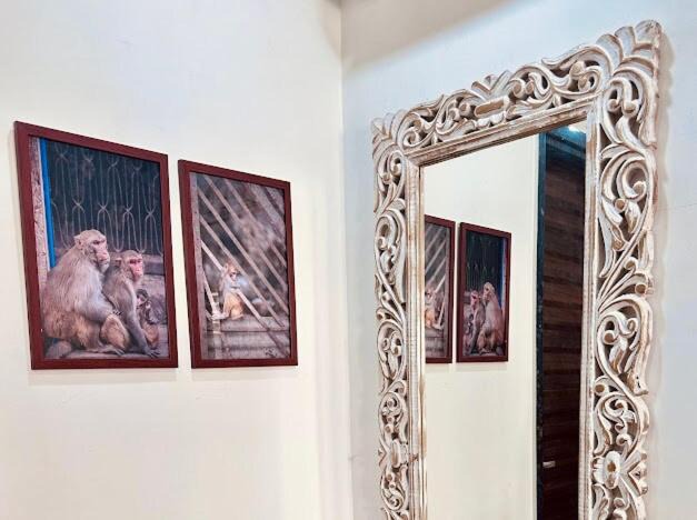Photo of Others in Vrindavan