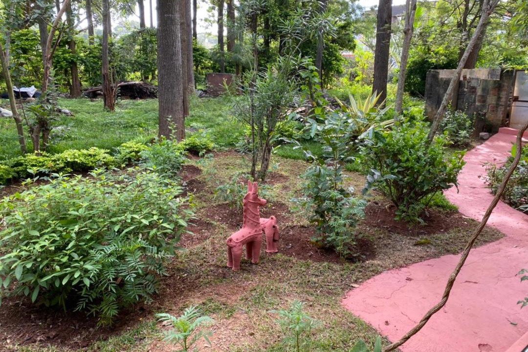 Photo of Others in Yelagiri