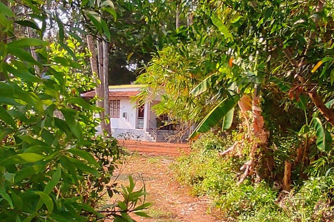 Photo of Others in Munroe Island